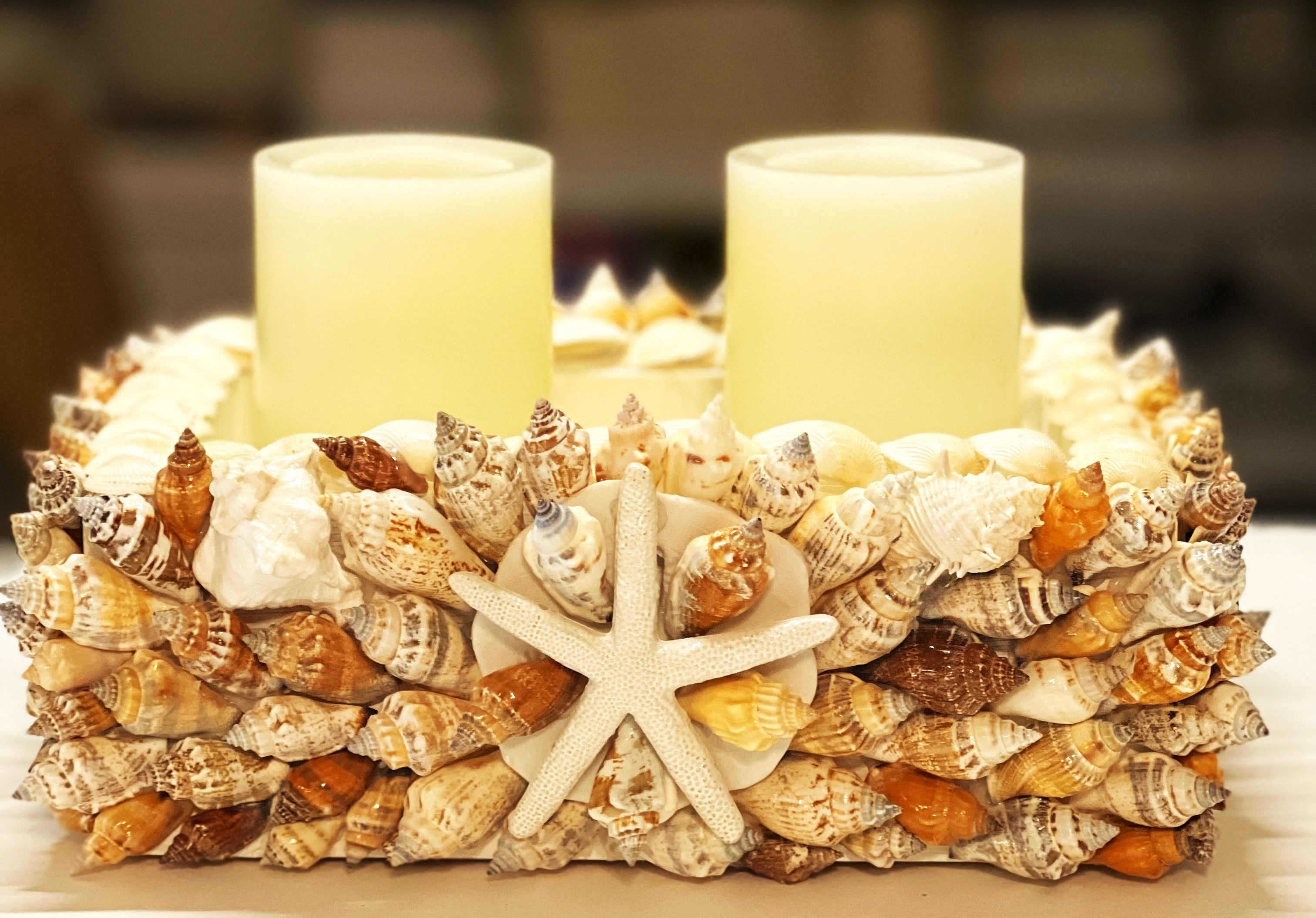SeaShell Candle holder 11" L X 7"W X 4" H