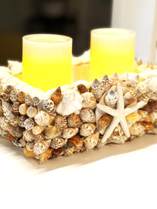 SeaShell Candle holder 11" L X 7"W X 4" H