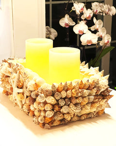 SeaShell Candle holder 11" L X 7"W X 4" H