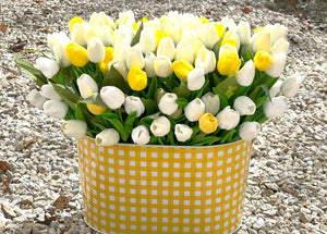 Spring Floral- White/Yellow Realistic Tulip Centerpiece- 20" W X 15" H X 8" Metal Container