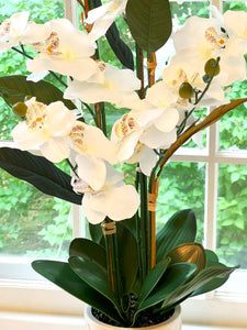 Exotic Orchid- Home Decor,  40" Tall X 18" Wide