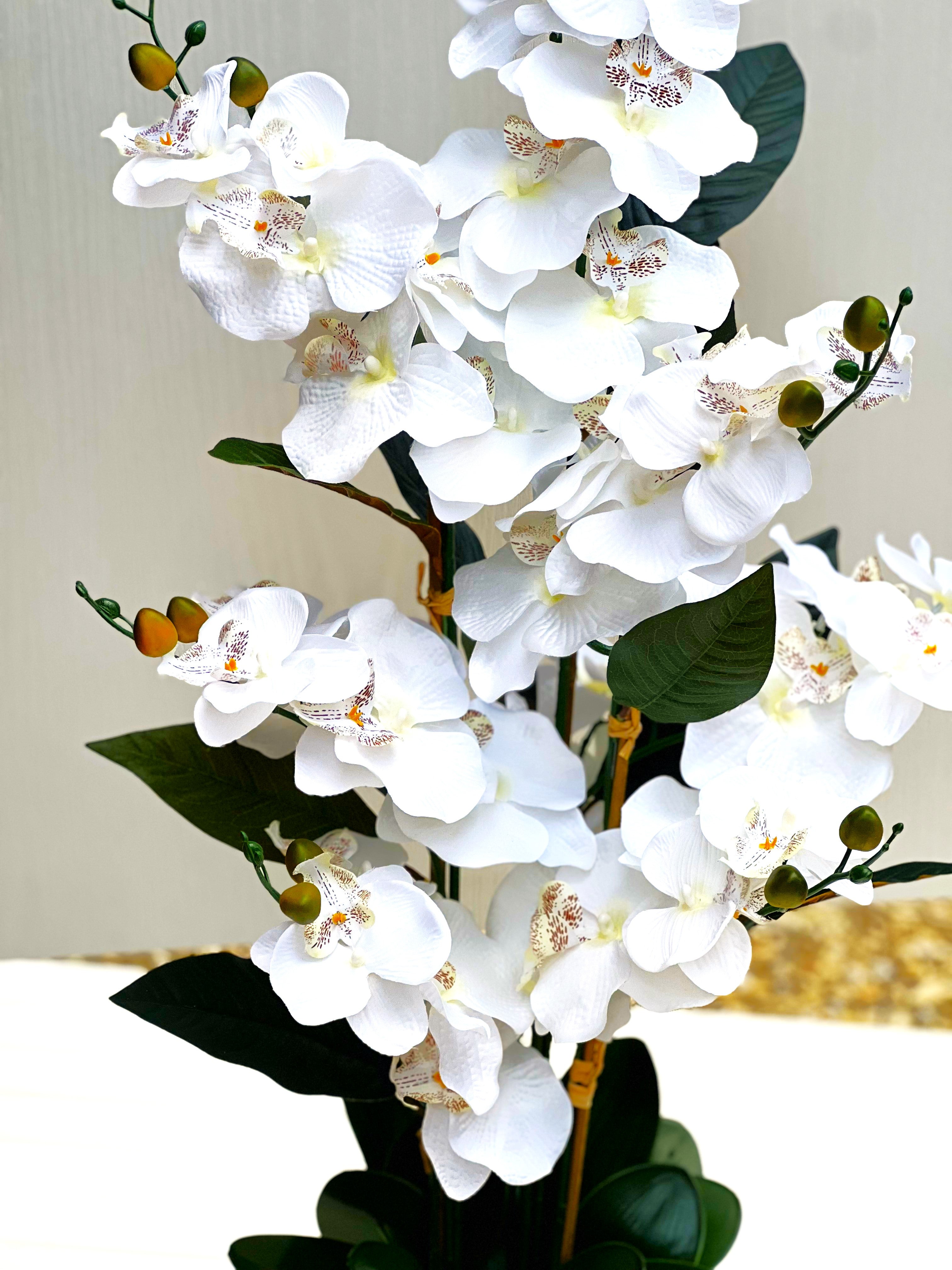 Exotic Orchid- Home Decor,  40" Tall X 18" Wide