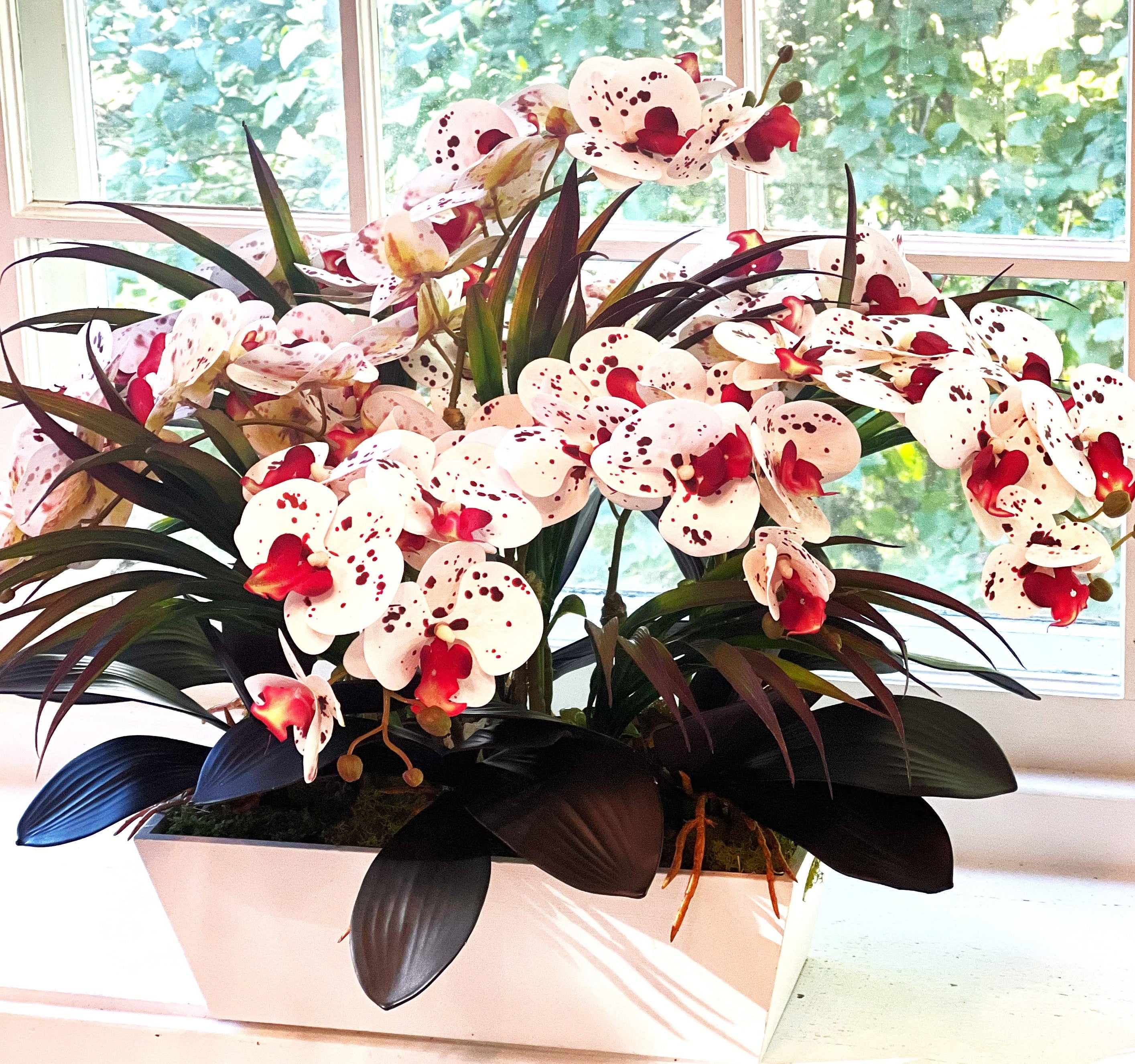 Nature's Gift, Exotic Colorful Orchid- 24"L X 24" W X 22" H