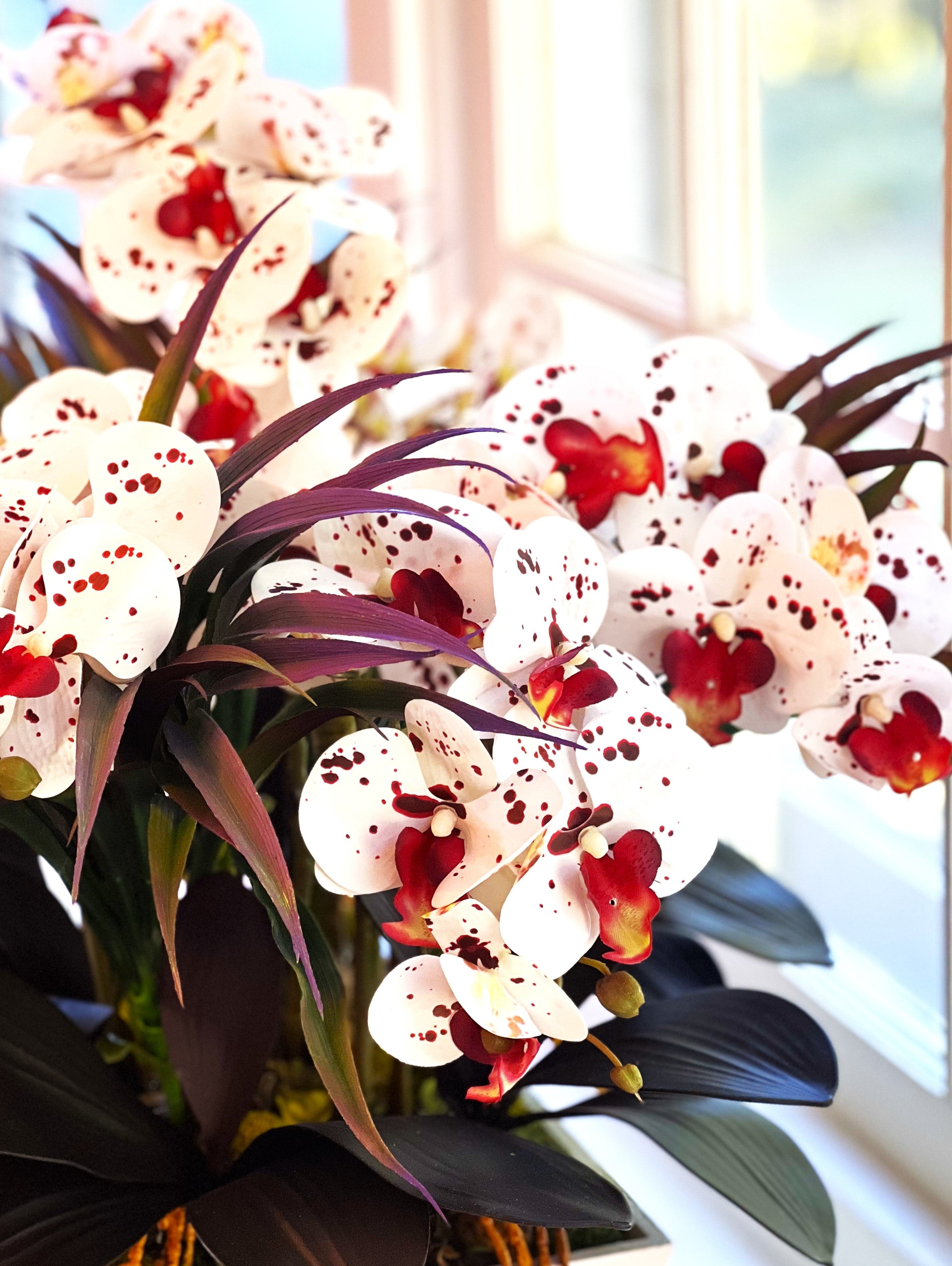Nature's Gift, Exotic Colorful Orchid- 24"L X 24" W X 22" H