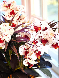 Nature's Gift, Exotic Colorful Orchid- 24"L X 24" W X 22" H