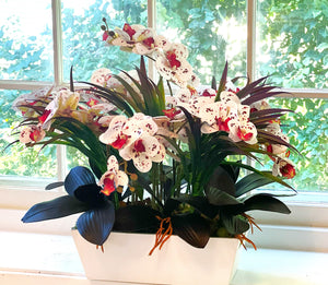 Nature's Gift, Exotic Colorful Orchid- 24"L X 24" W X 22" H