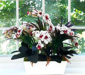 Nature's Gift, Exotic Colorful Orchid- 24"L X 24" W X 22" H