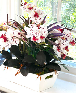 Nature's Gift, Exotic Colorful Orchid- 24"L X 24" W X 22" H
