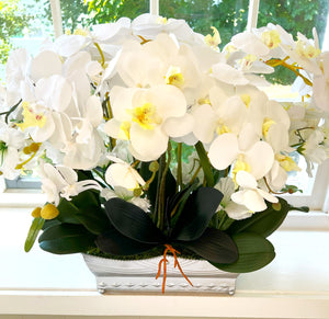Large Orchid Centerpiece, 21" LX 30" W