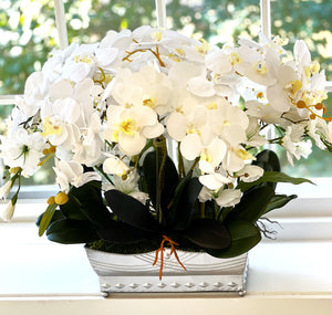 Large Orchid Centerpiece, 21" LX 30" W