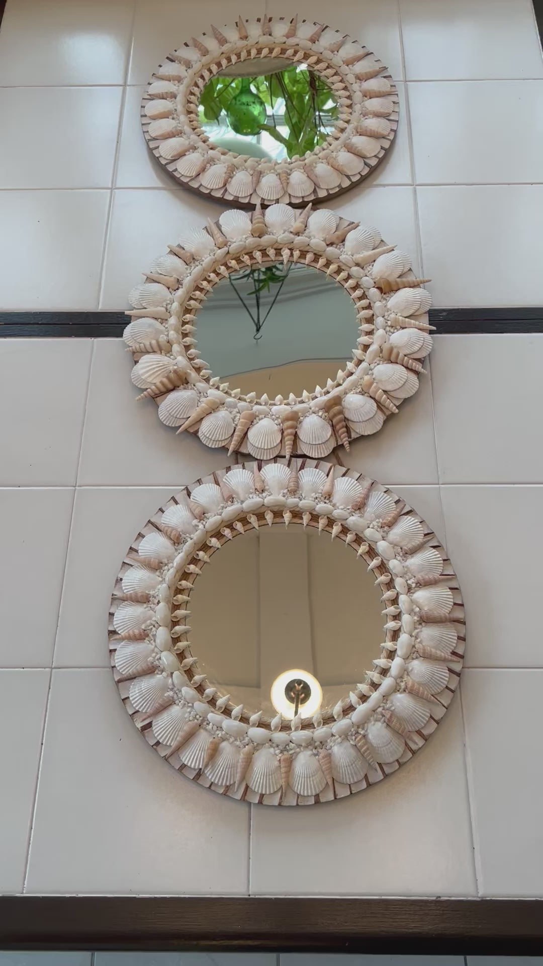 Seashell Mirror, Set of 3- 14 Inch Round With 8 " Mirror