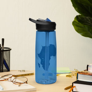 Sports water bottle
