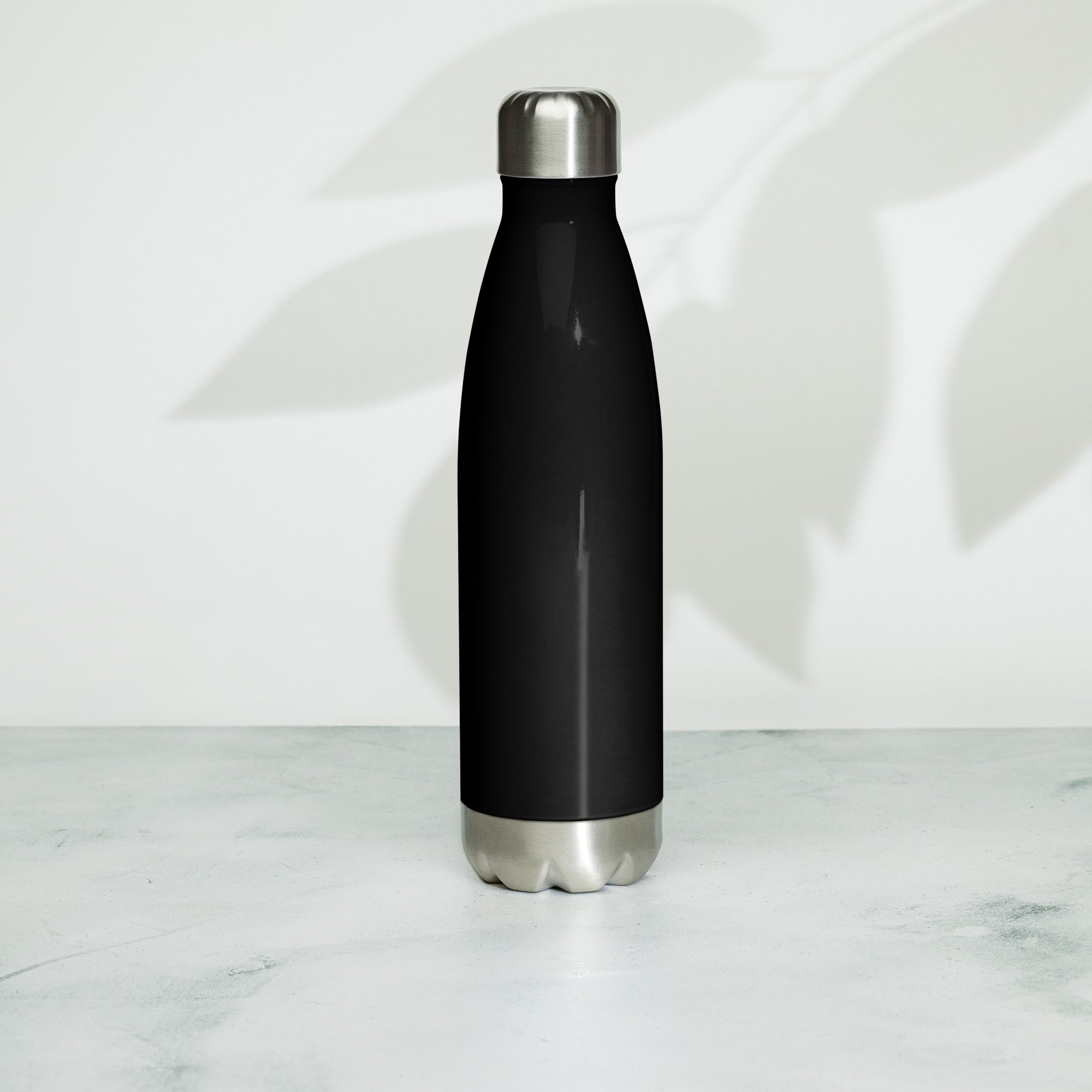 Stainless Steel Water Bottle, Travel Bottle, Backpack, Hot/Cold, Kids,