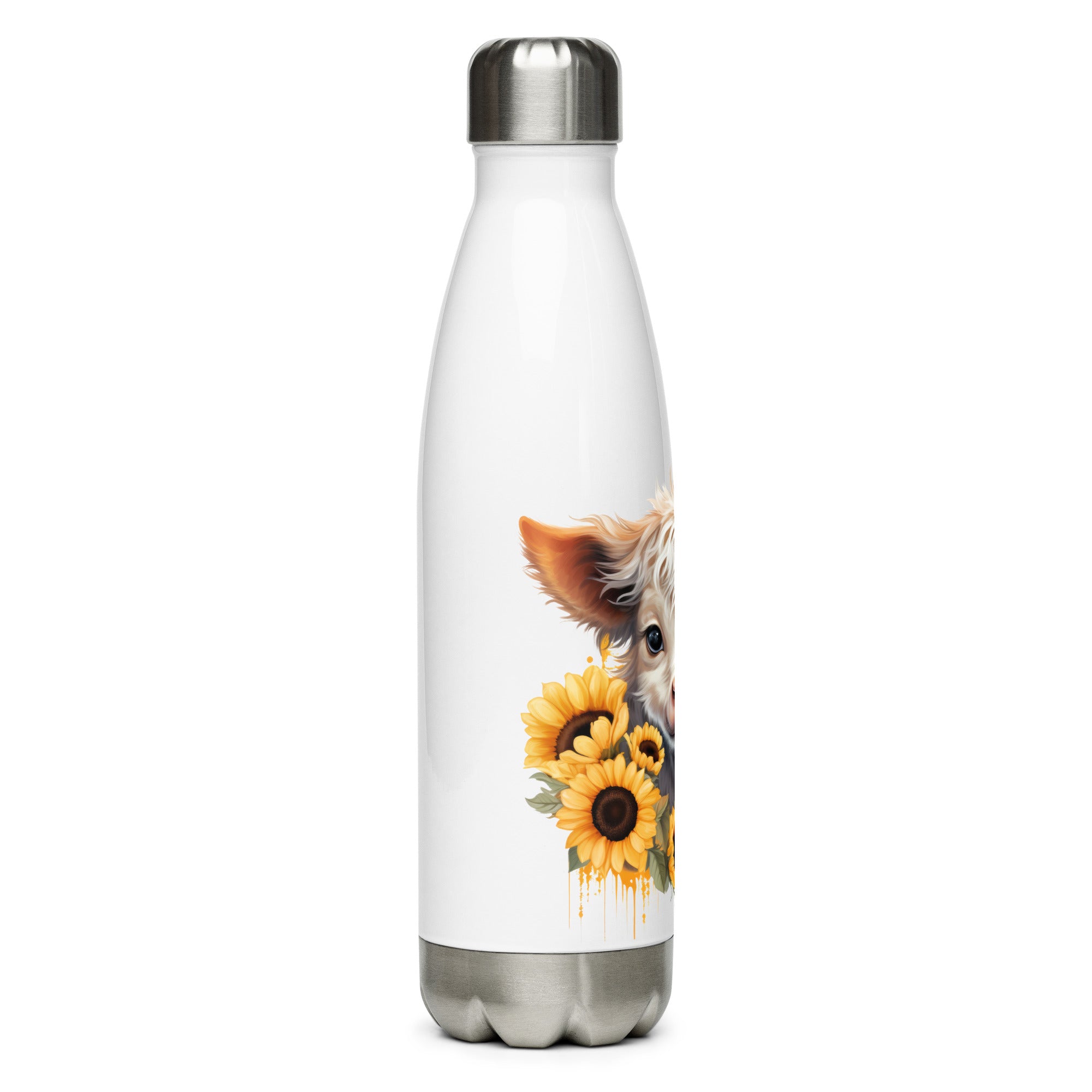 Stainless Steel Water Bottle, Backpack Bottle Hot/Cold bottle, Kids, Gift