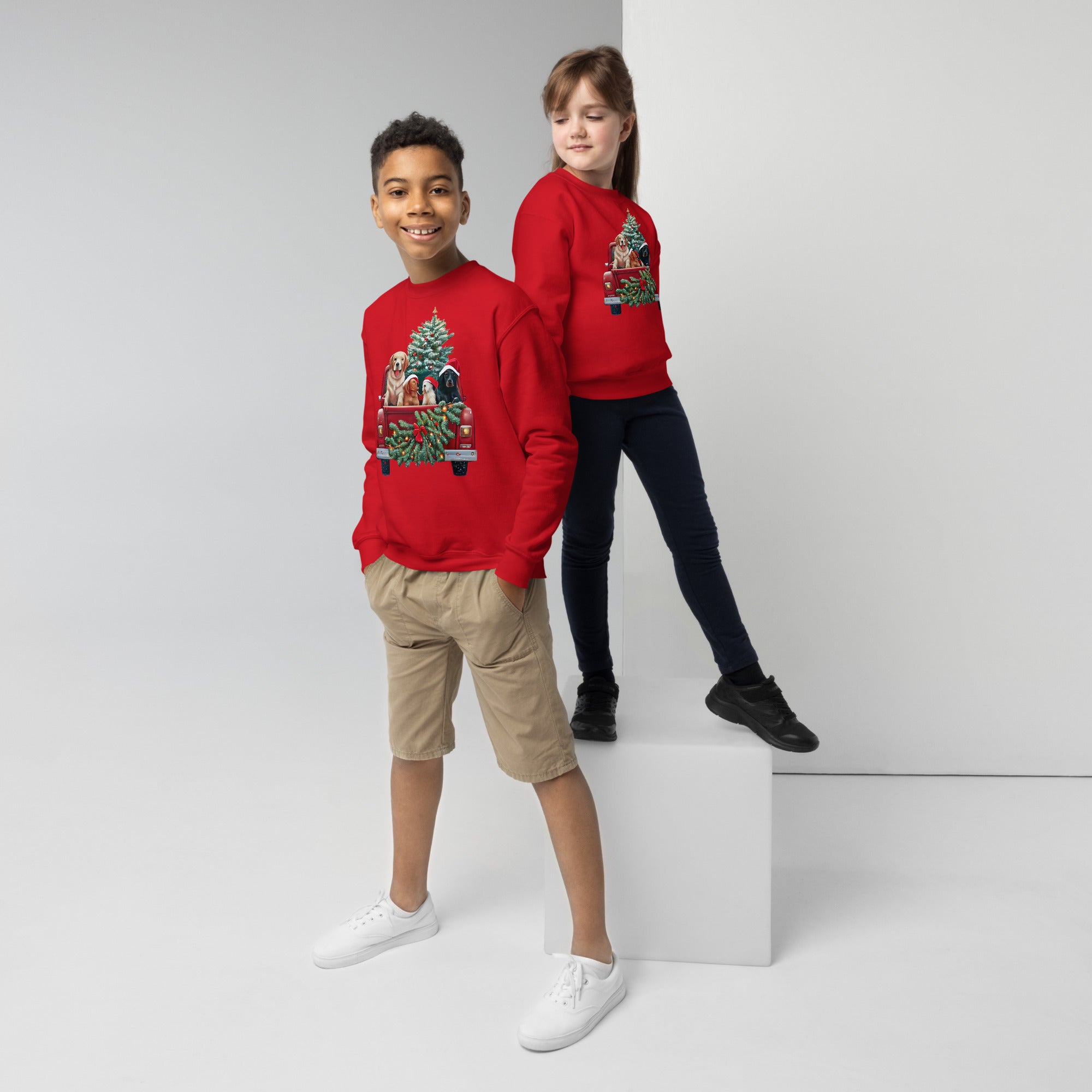 Youth crewneck sweatshirt, Kids Crewneck Xmas Dog Crewneck