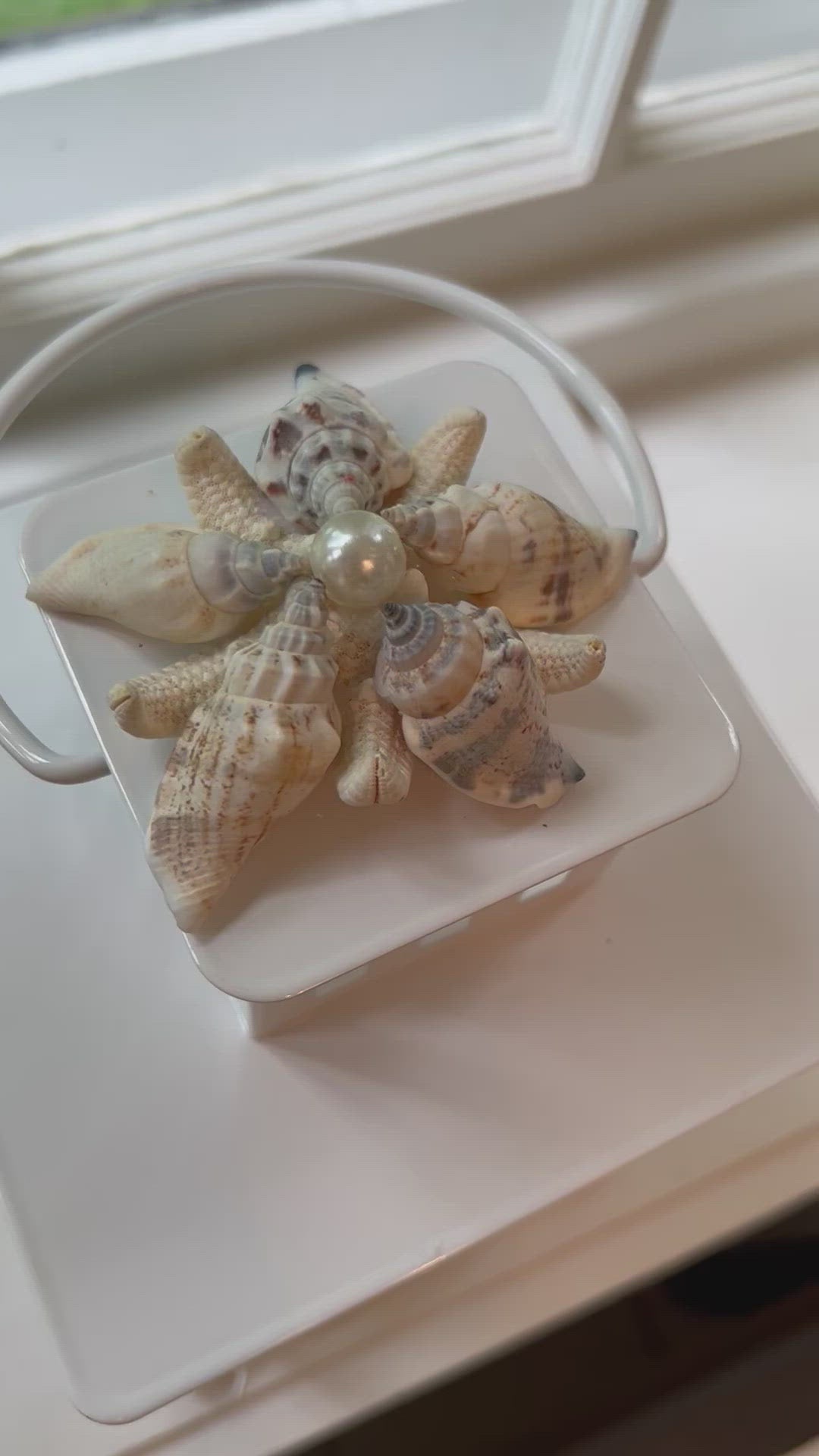 Nautical Lantern - Sea shell 12" H X 6 " W