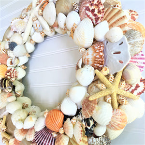 Sea Shell Wreath 20 " X 4" depth