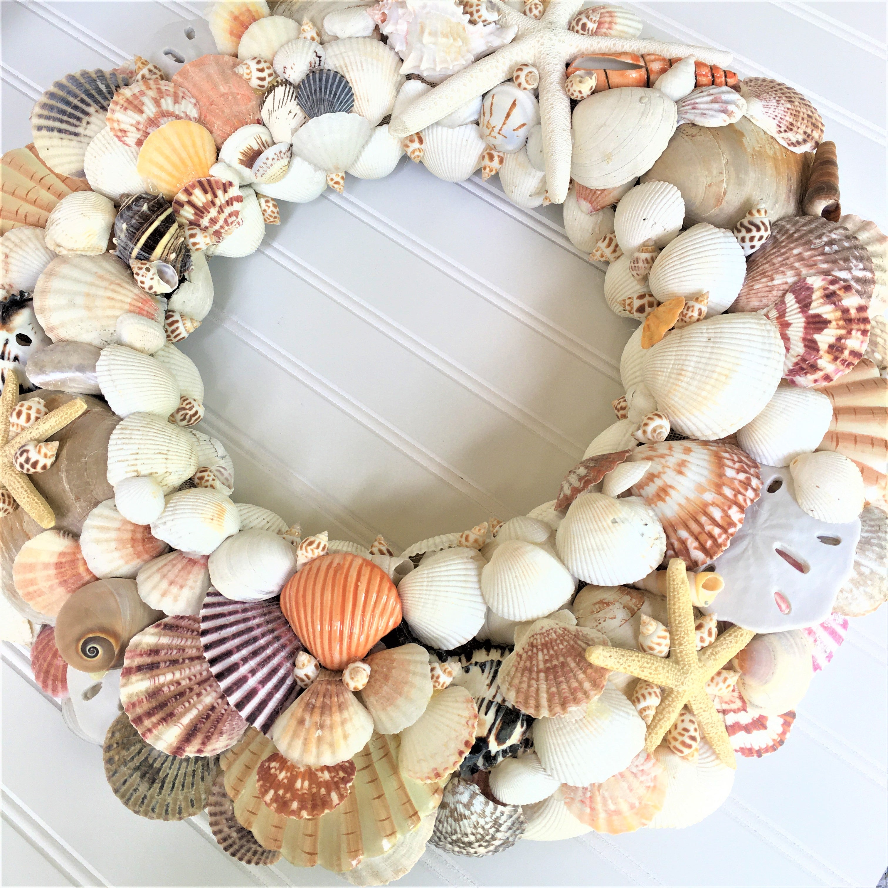 Sea Shell Wreath 20 " X 4" depth
