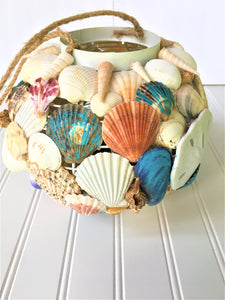 Ocean's Gift Sea Shell Candle holder  8" x 4"