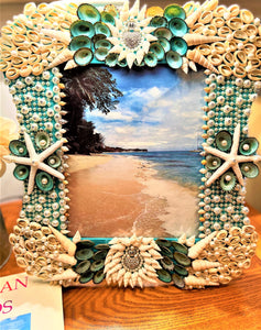 Sea Shell Picture Frame/Art, Wall Art, 15"L x 14"W  8x10 Photo