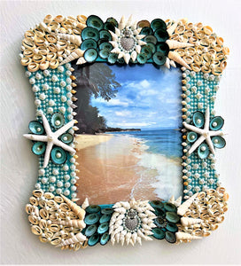 Sea Shell Picture Frame/Art, Wall Art, 15"L x 14"W  8x10 Photo
