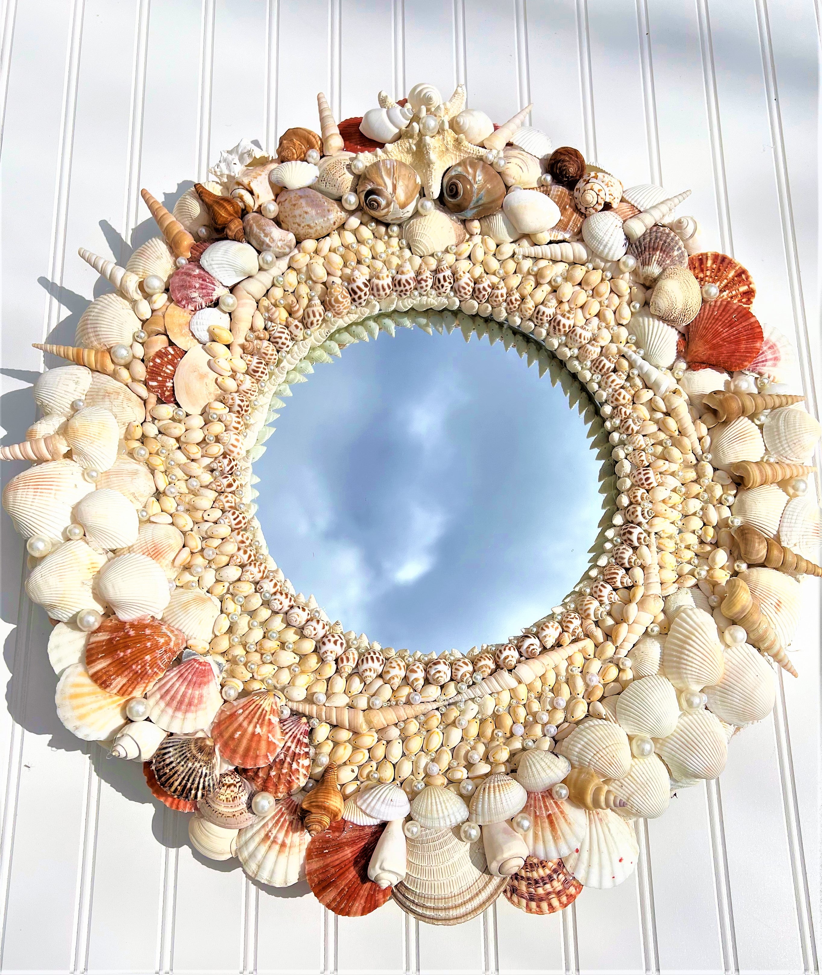 SeaShell Mirror, Round Wall Mirror, 24 " Diameter