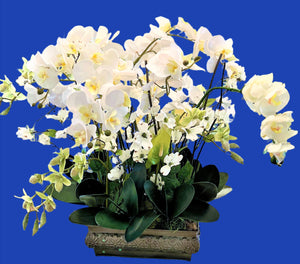 Centerpiece- Exotic & Graceful Orchid Centerpiece, 25"H X 30W X12" Base