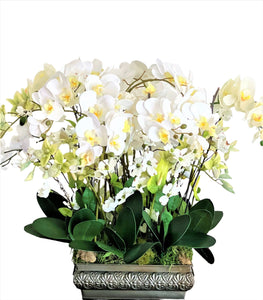 Centerpiece- Exotic & Graceful Orchid Centerpiece, 25"H X 30W X12" Base