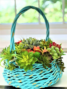 Succulent Basket-Wicker Basket- Turquoise Basket_ Flower Arrangement 15"W X 16"H