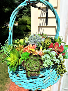 Succulent Basket-Wicker Basket- Turquoise Basket_ Flower Arrangement 15"W X 16"H