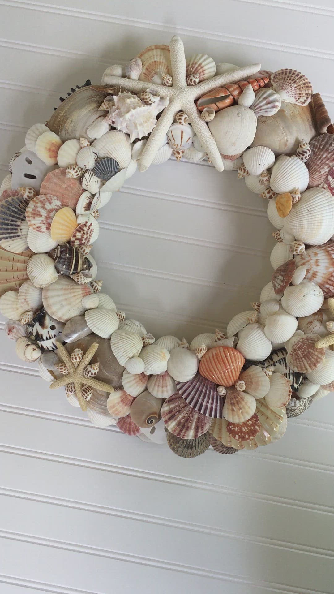 Sea Shell Wreath 20 " X 4" depth